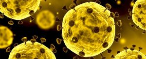 Latest News on The Coronavirus